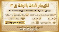 شقة