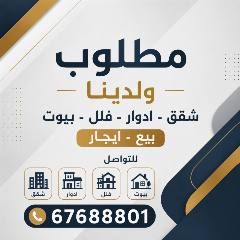 شقة