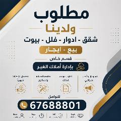 شقة