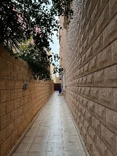 بيت
