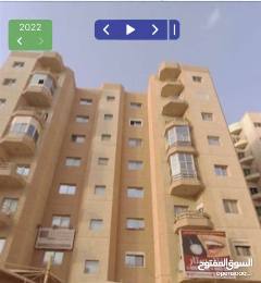 شقة