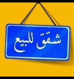 شقة