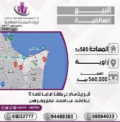 بيت